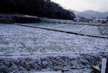 寒いはずですよーああー雪ーーーーー！！！