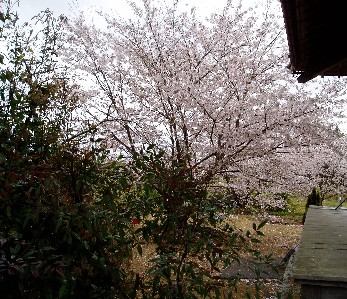 登りきるとこんな景色。横には小さな、でも美しいお話を持った瑠璃寺というお寺があるのです。